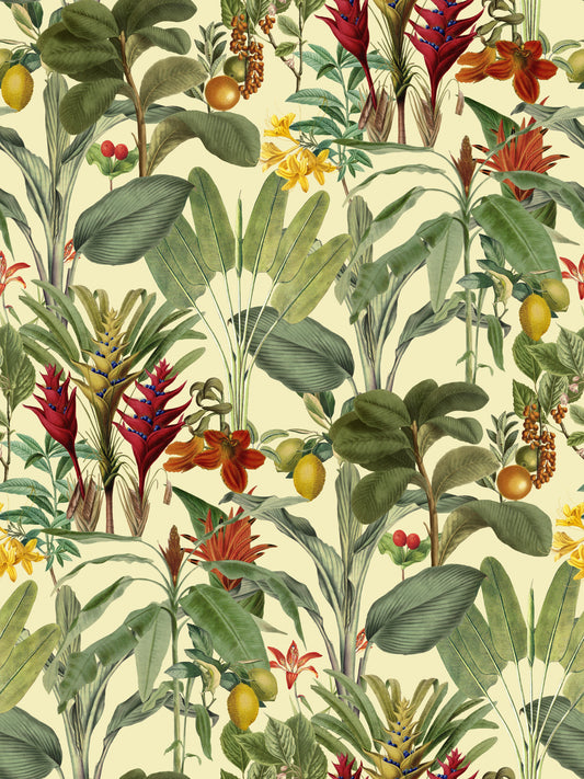 Tropical Jungle Garden Wallpaper⁠