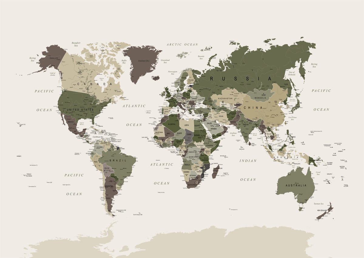 World Map Camouflage Green Wall Mural