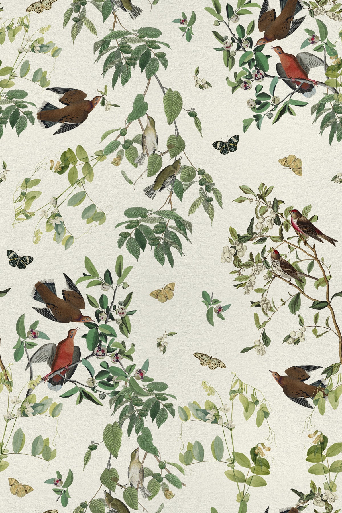Birds and Butterflies Branch Olive Green Wallpaper⁠