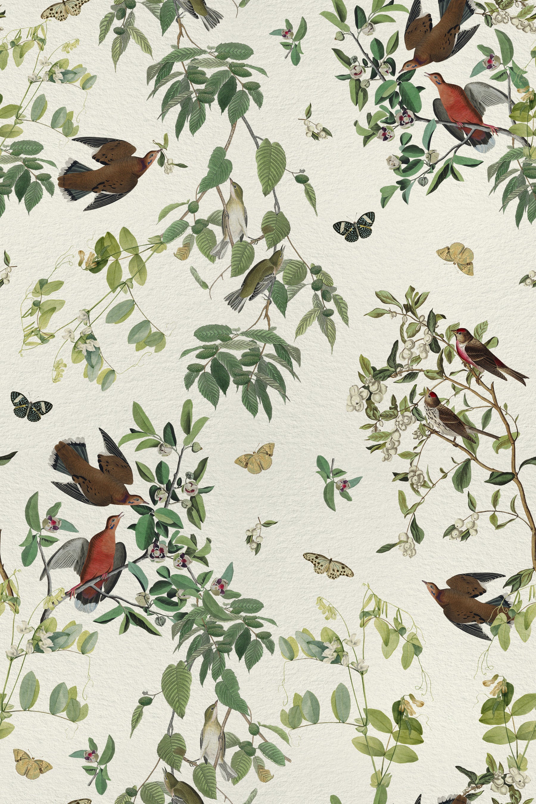 Birds and Butterflies Branch Olive Green Wallpaper⁠