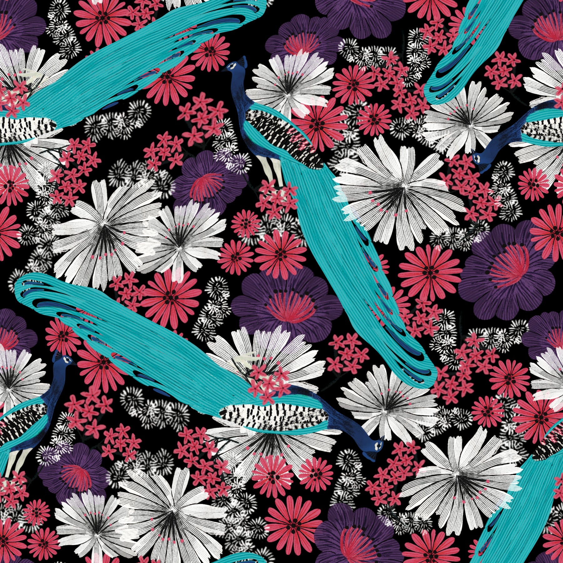 Peacock Promenade - Black Wallpaper⁠