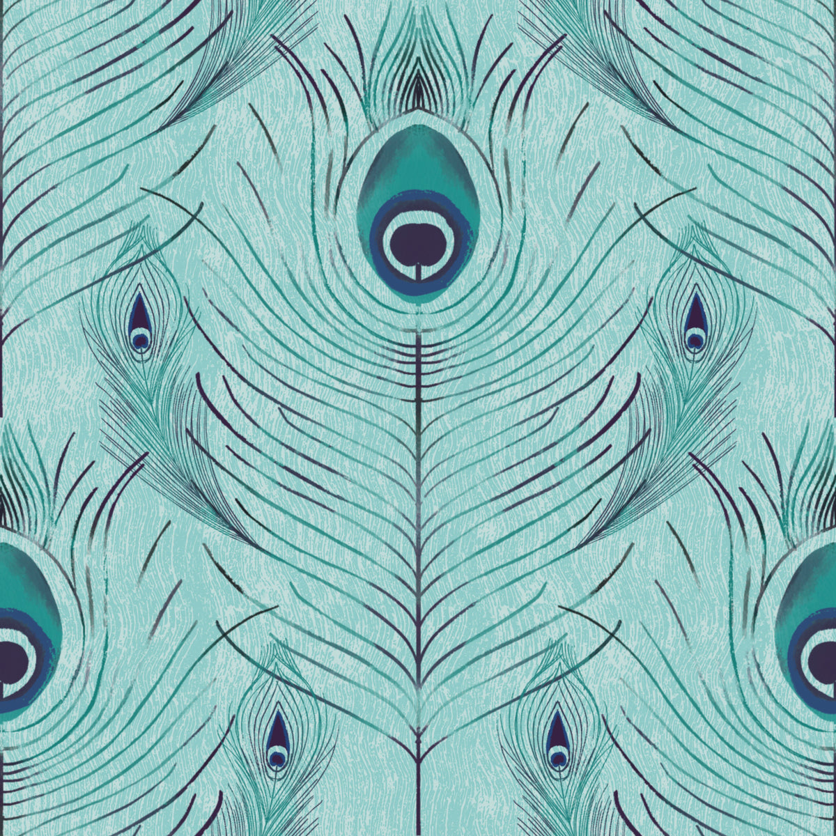 Regal Peacock Feather - Blue Wallpaper⁠