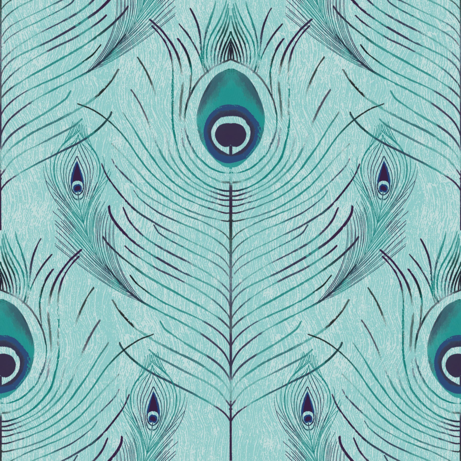 Regal Peacock Feather - Blue Wallpaper⁠