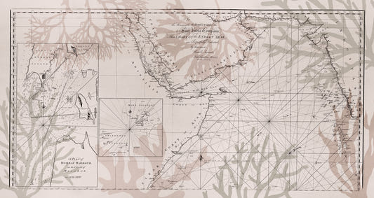 East India Trading Chart Coastal Adventure Wall Mural