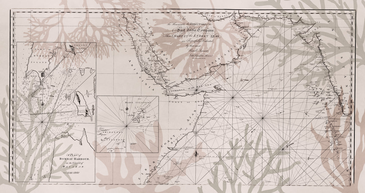 East India Trading Chart Coastal Adventure Wall Mural in your room — zoomed