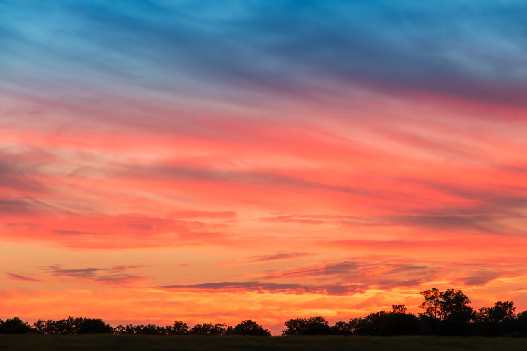 Ethereal Sunset at Country side Wall Mural