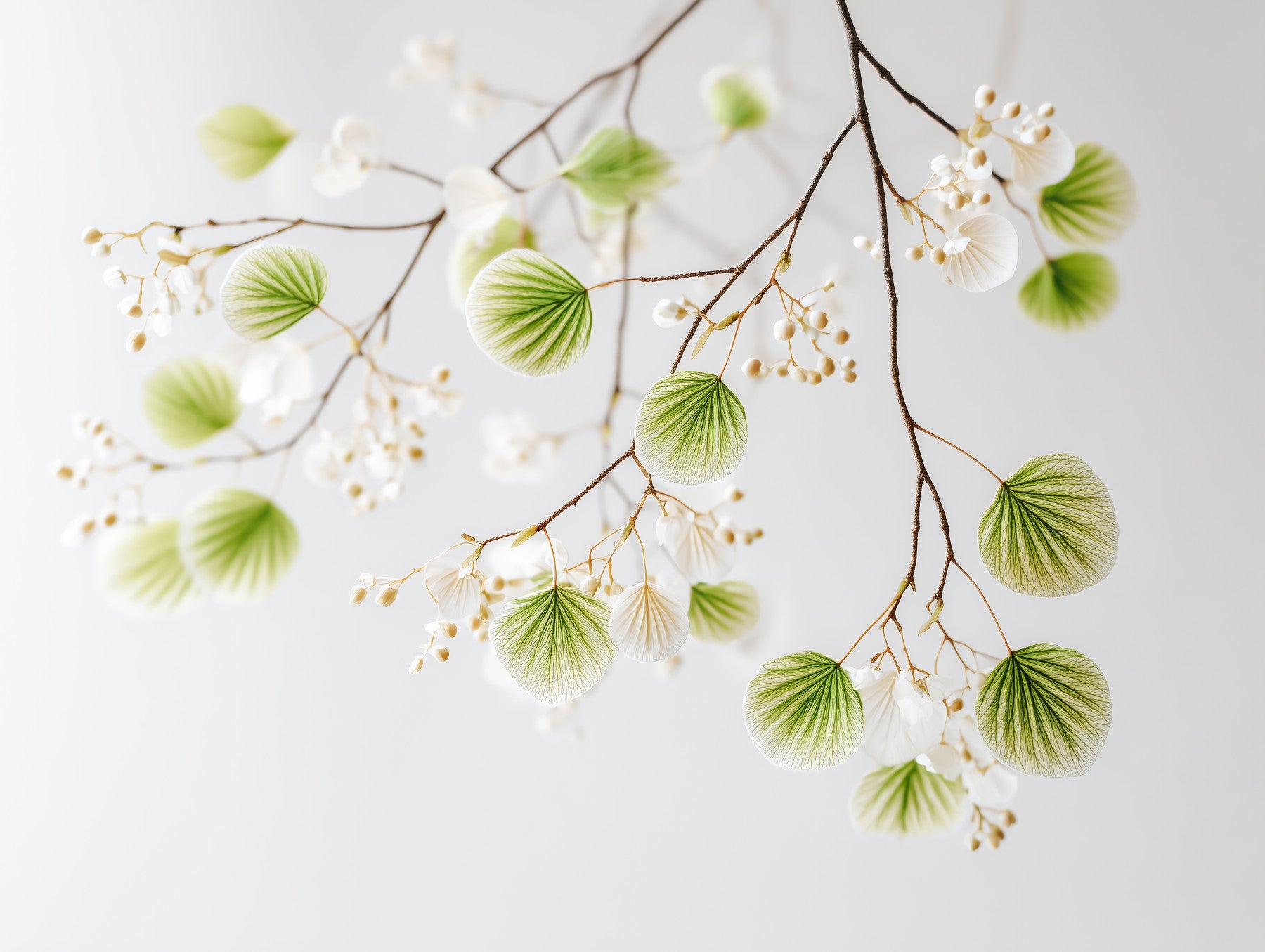 Serene Foliage Wall Mural