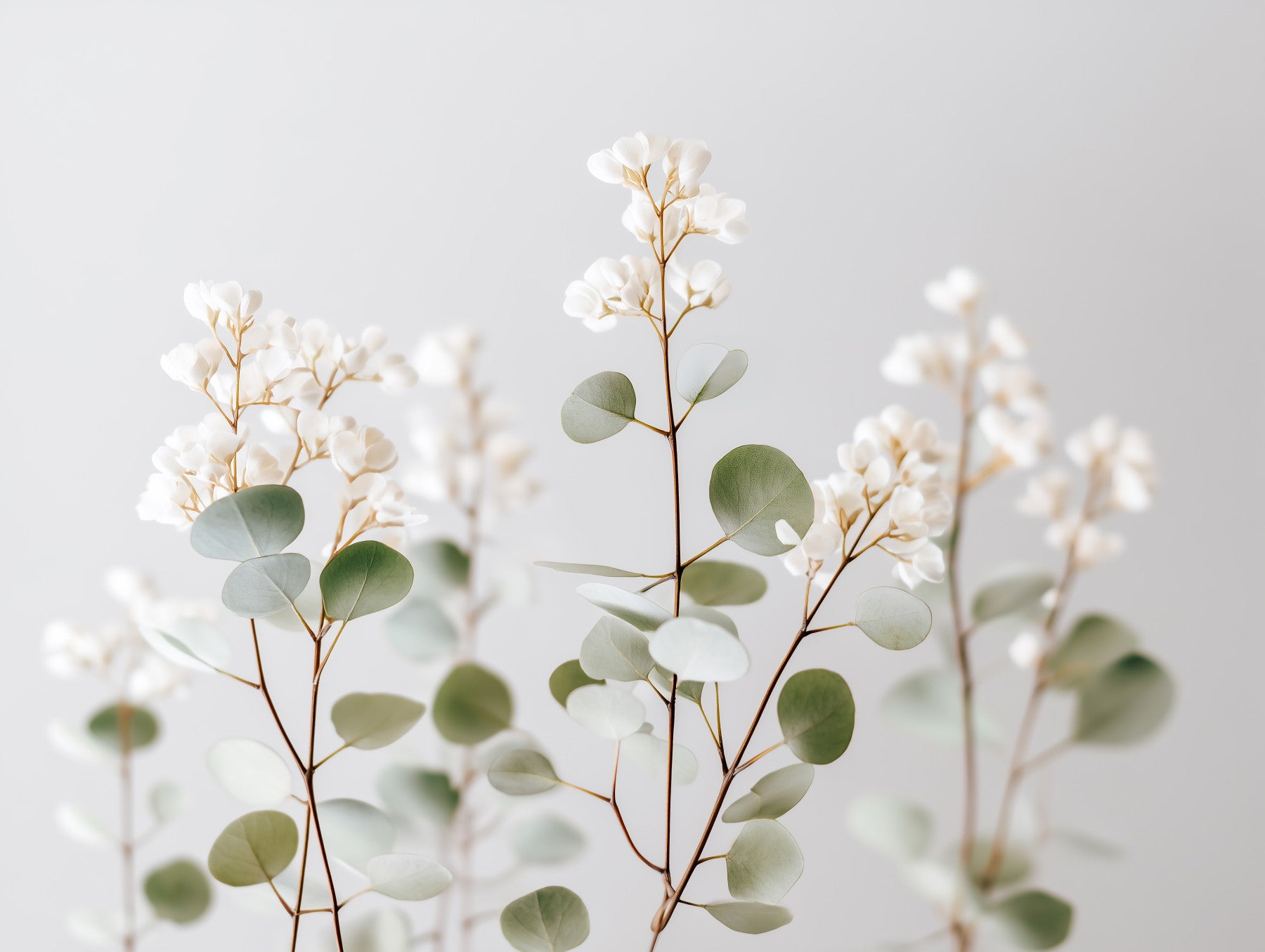 Whispering White Florals Wall Mural