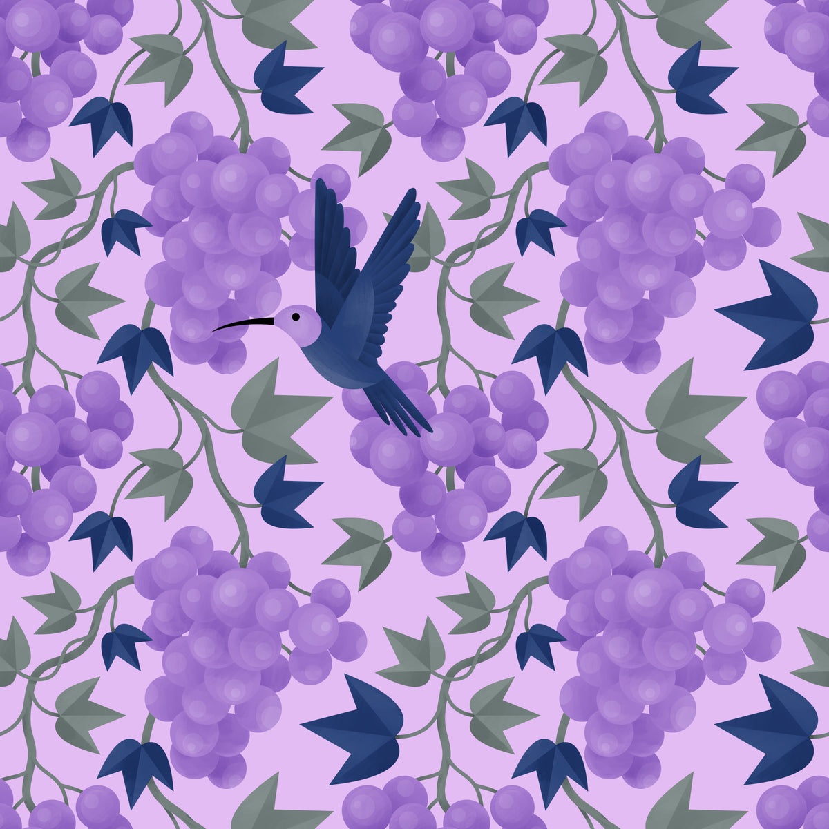 Hummingbird in Grapes Wallpaper⁠