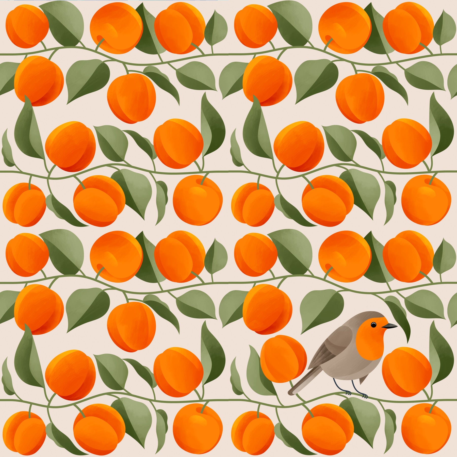 Robin in Apricots Wallpaper⁠