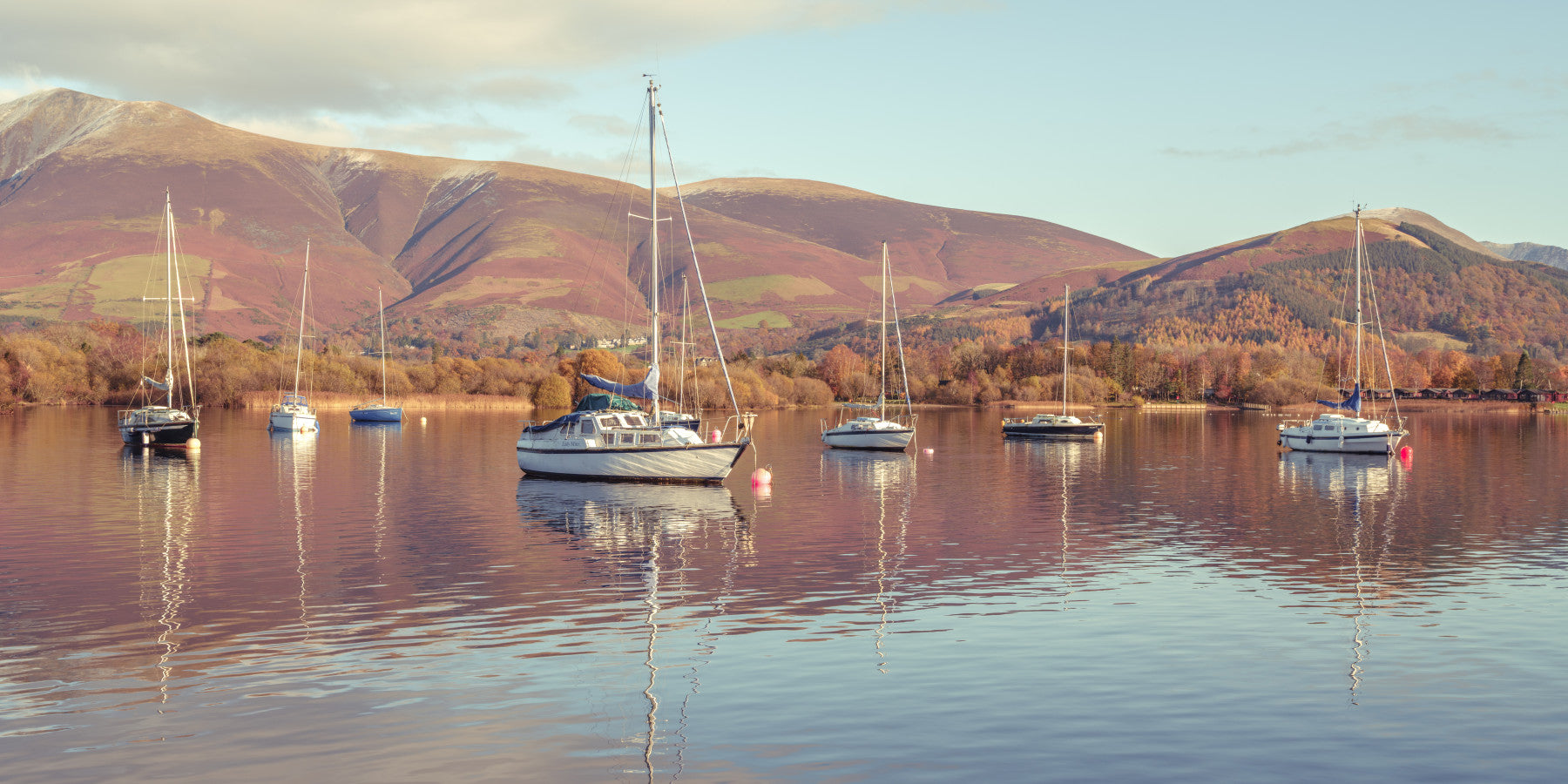 Sail Boats in Lake Wall Mural