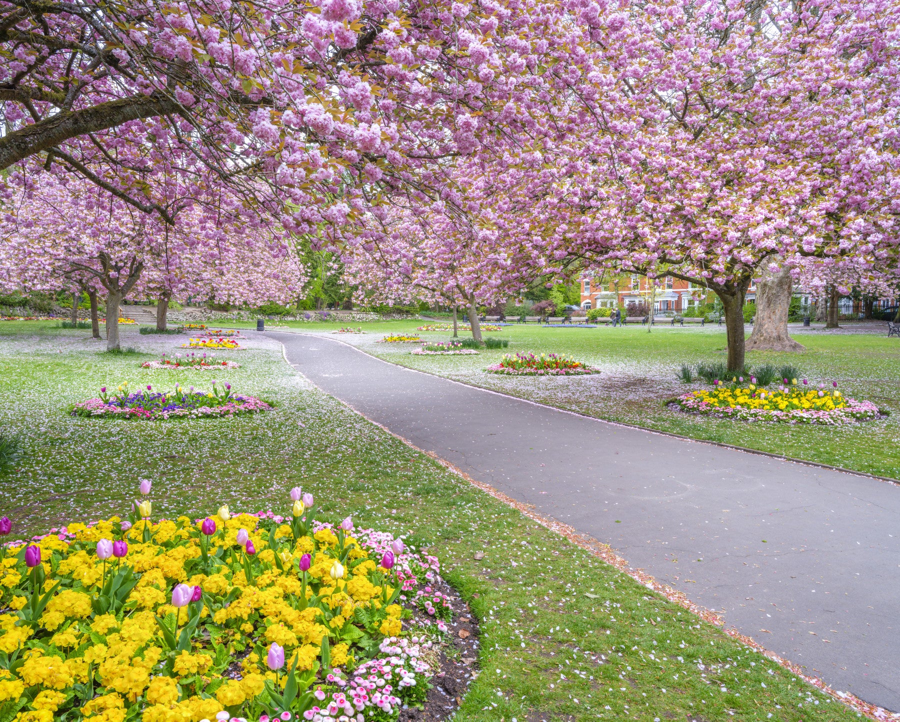 Park Prettiness Wall Mural