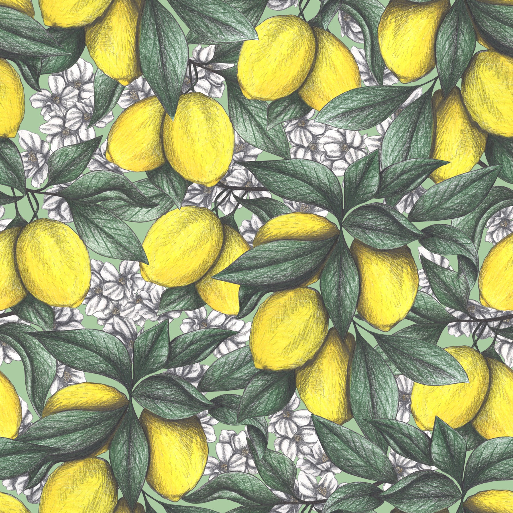 Under the Lemon Tree Wallpaper⁠
