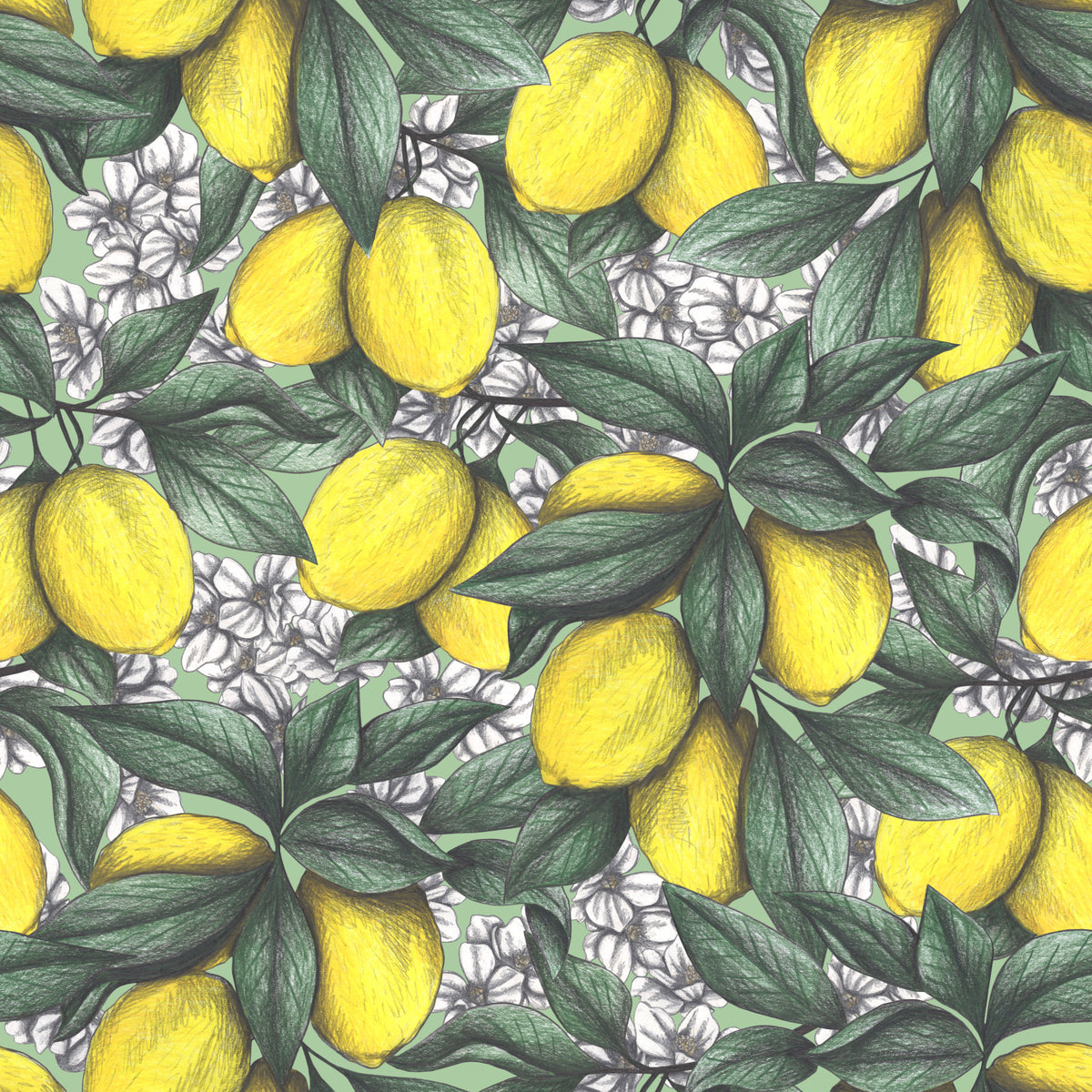 Under the Lemon Tree Wallpaper⁠ in your room — zoomed