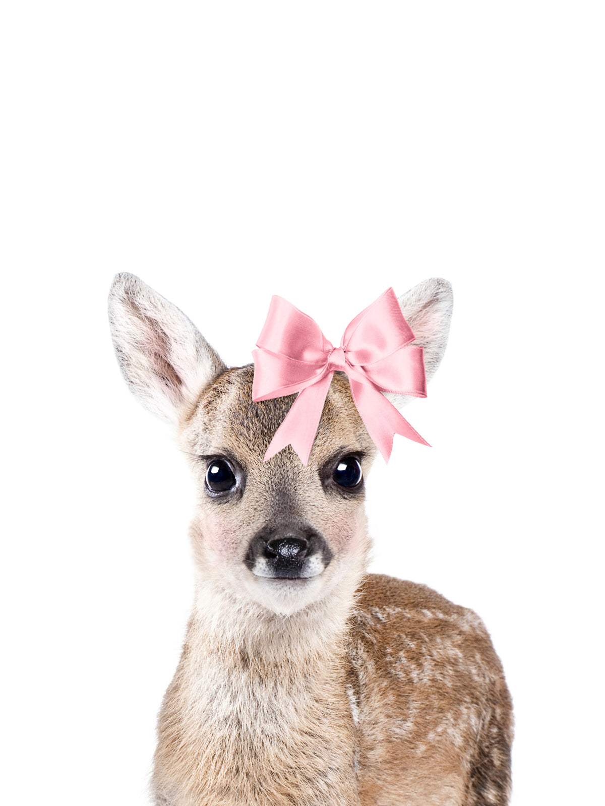 Bow-tiful Deer Wall Mural