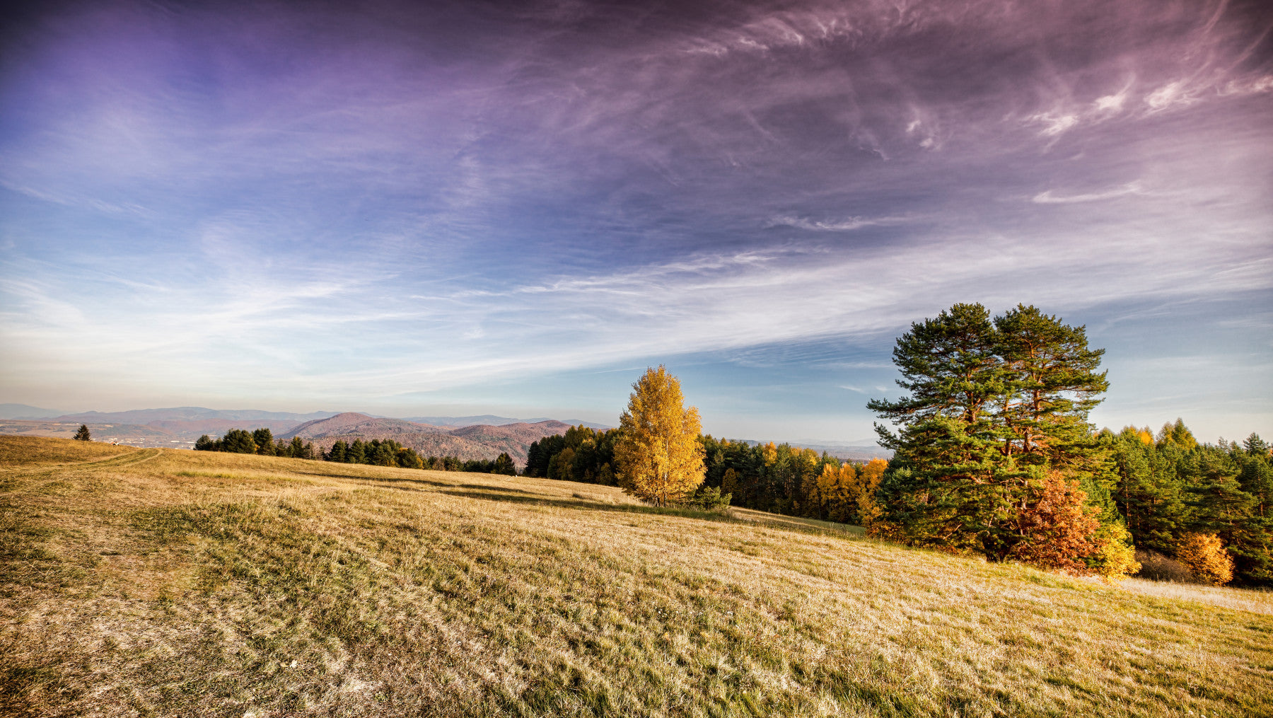 Autumn Meadow Landscape Print - Serene Nature Photography Wall Mural