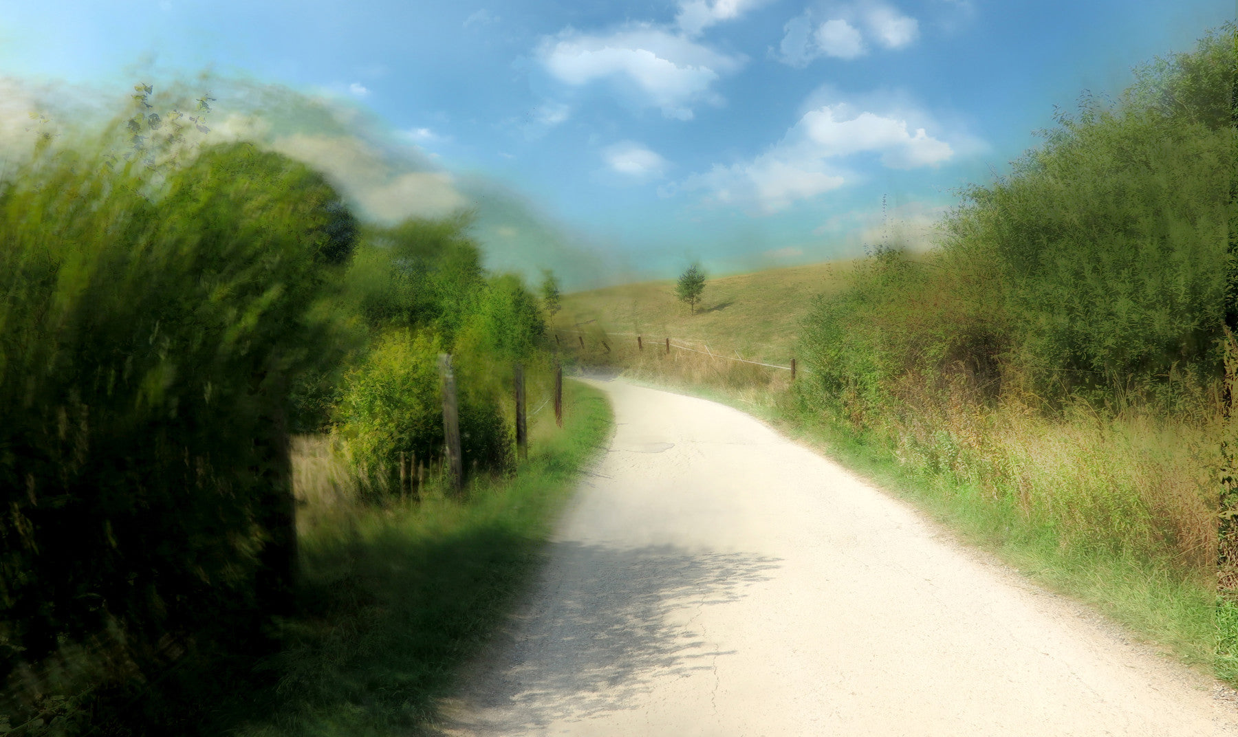 Serene Country Pathway Art Print | Tranquil Landscape Photography Wall Mural