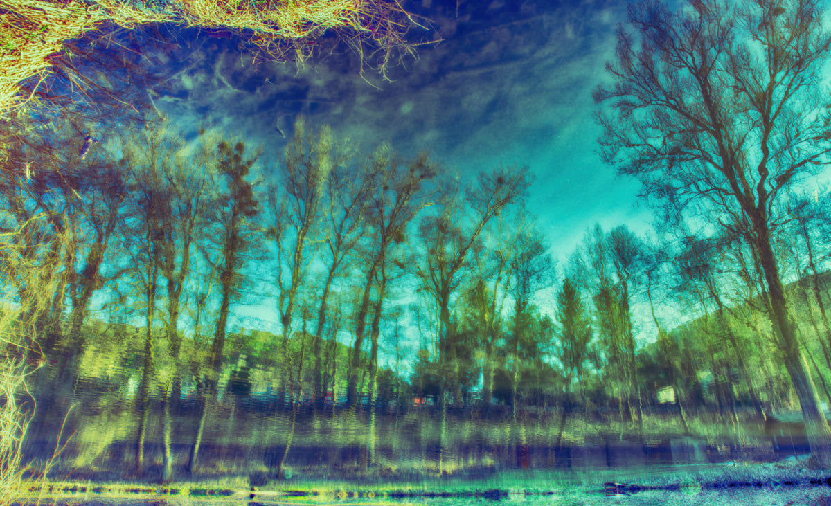 Serene Reflections of Trees in Water - Abstract Nature Art Print Wall Mural in your room — zoomed