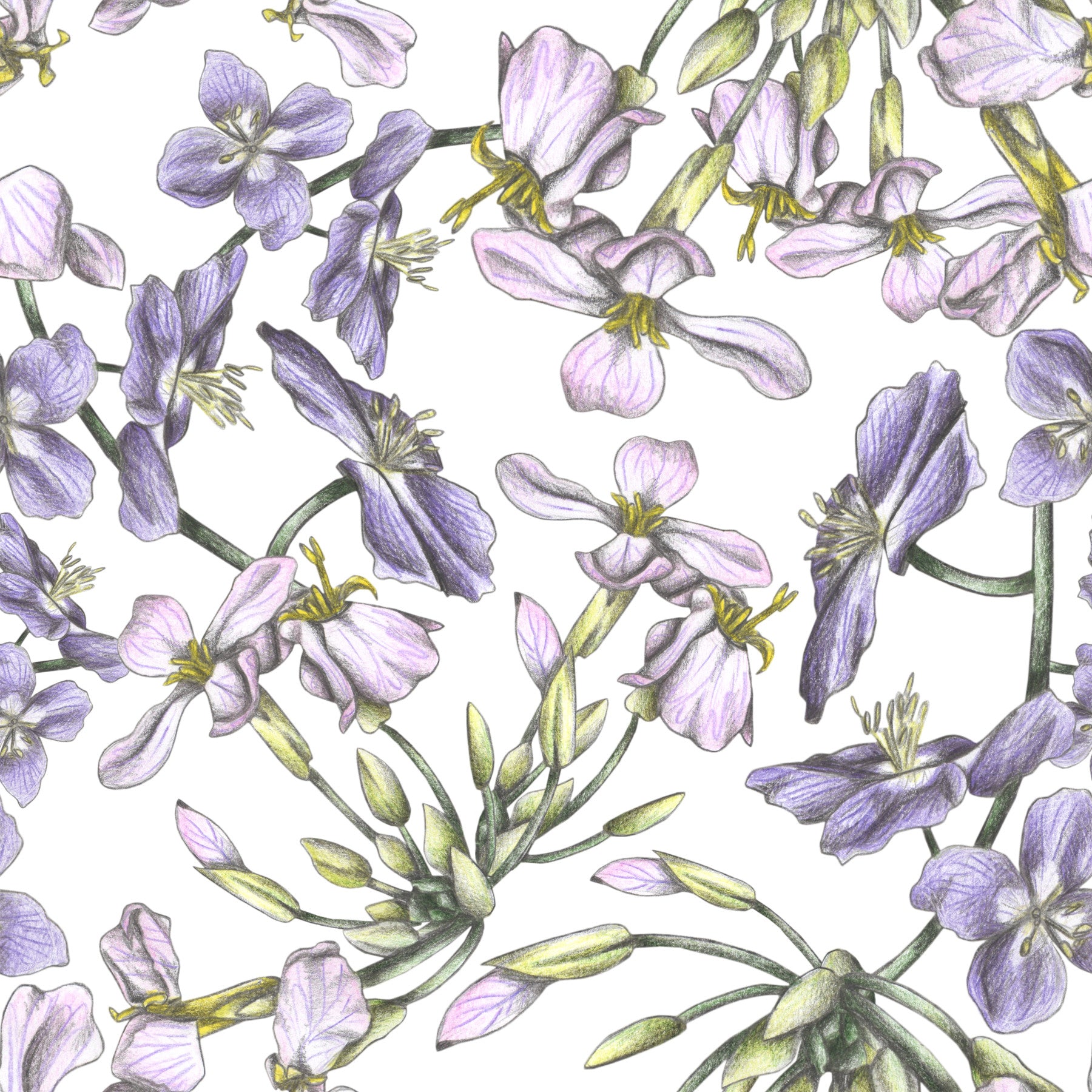 Spring is Calling Wallpaper⁠