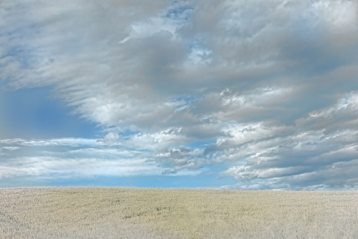 Serene Landscape Photography of Rolling Fields and Dramatic Skies Wall Mural
