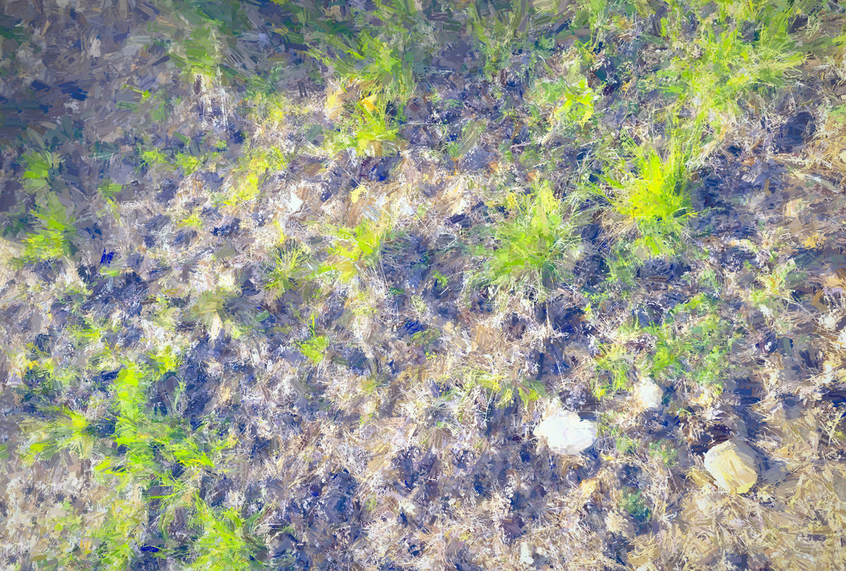Organic Textures in Nature Green Grass and Earth Tapestry Wall Mural in your room — zoomed