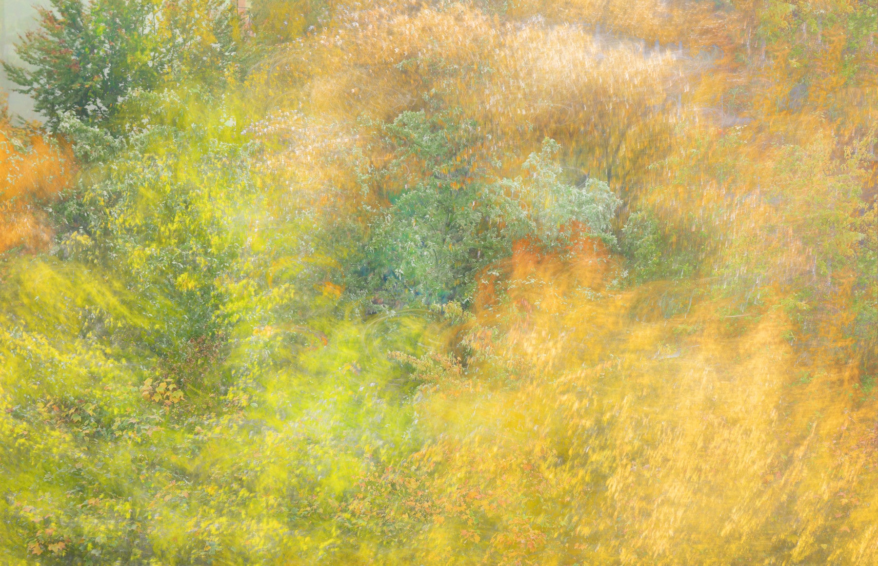 Ethereal Autumn Landscape | Abstract Nature Photography | Colorful Fall Forest Art Wall Mural