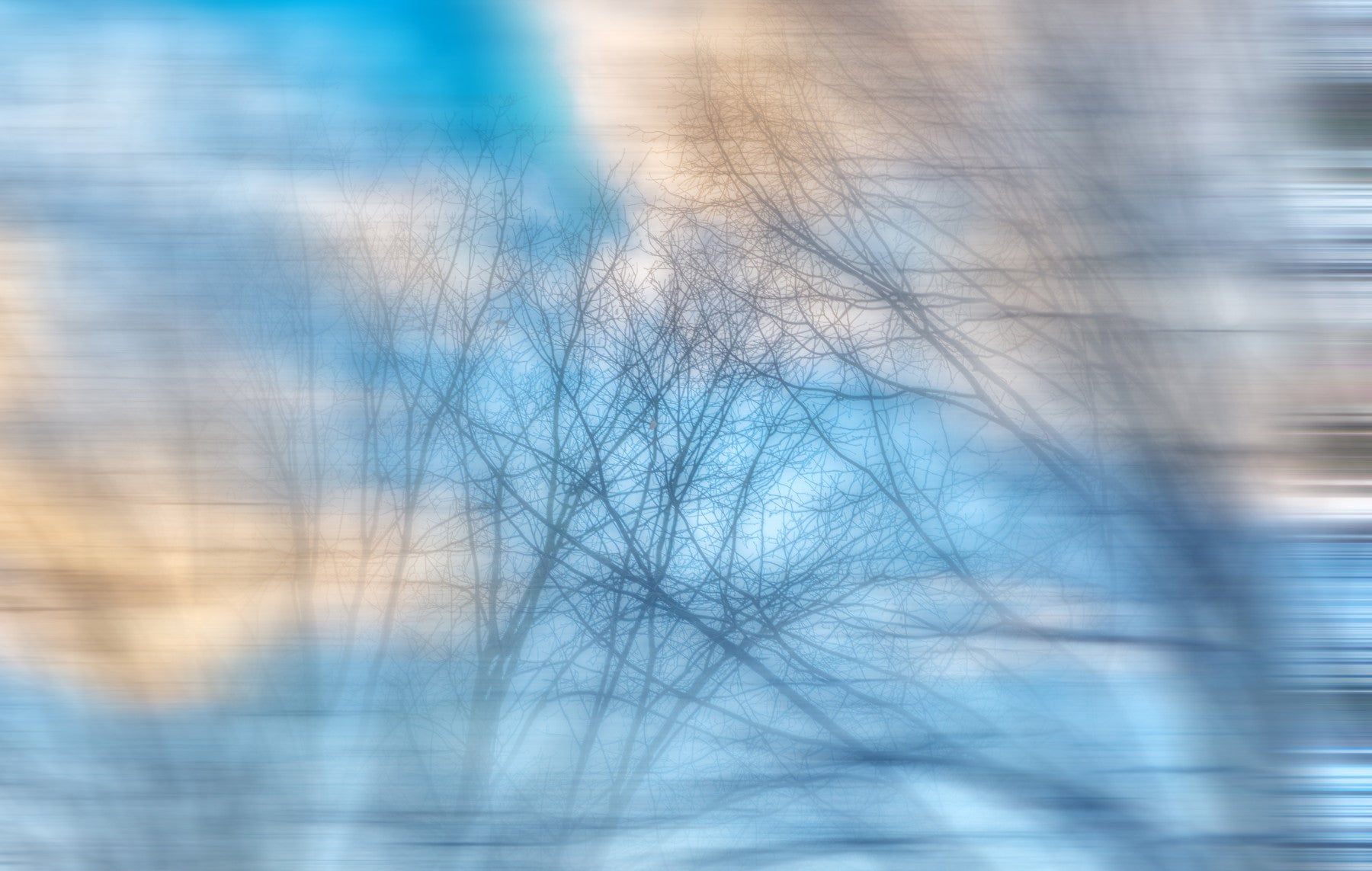 Ethereal Sky Abstract Art Print - Soft Blurred Branches in Tranquil Blue Wall Mural