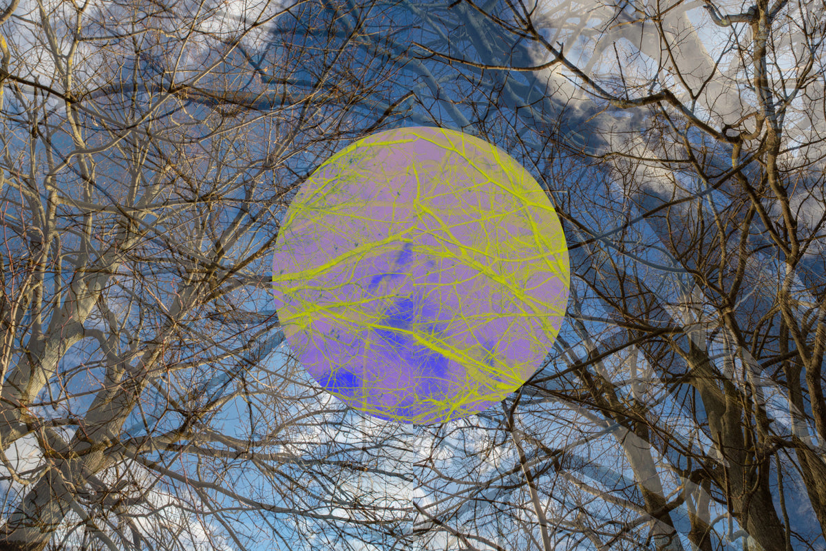 Abstract Tree Overlay Art with Colorful Circle - Unique Wall Decor Wall Mural in your room — zoomed