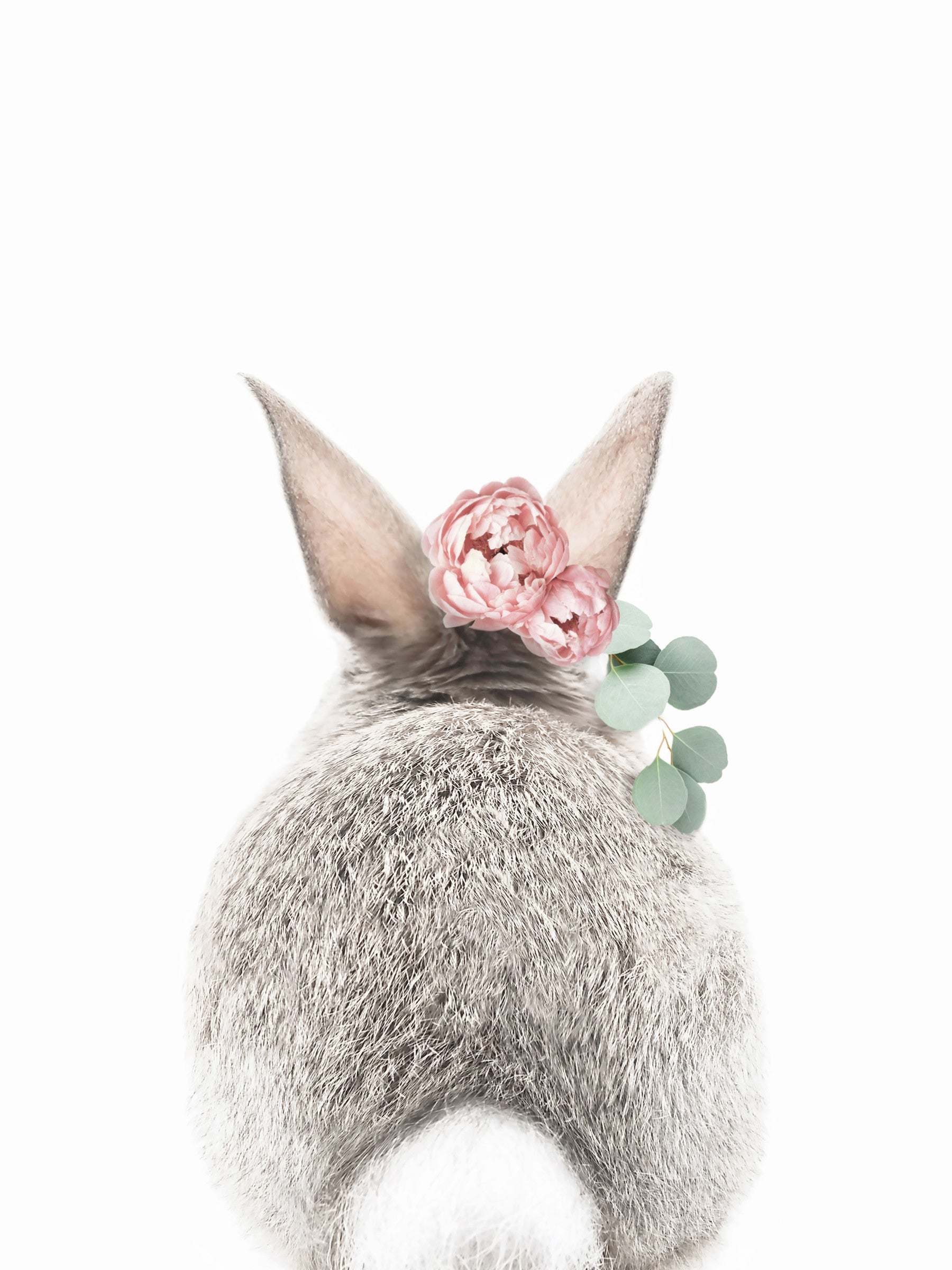 Bunny Bloom Bum Wall Mural