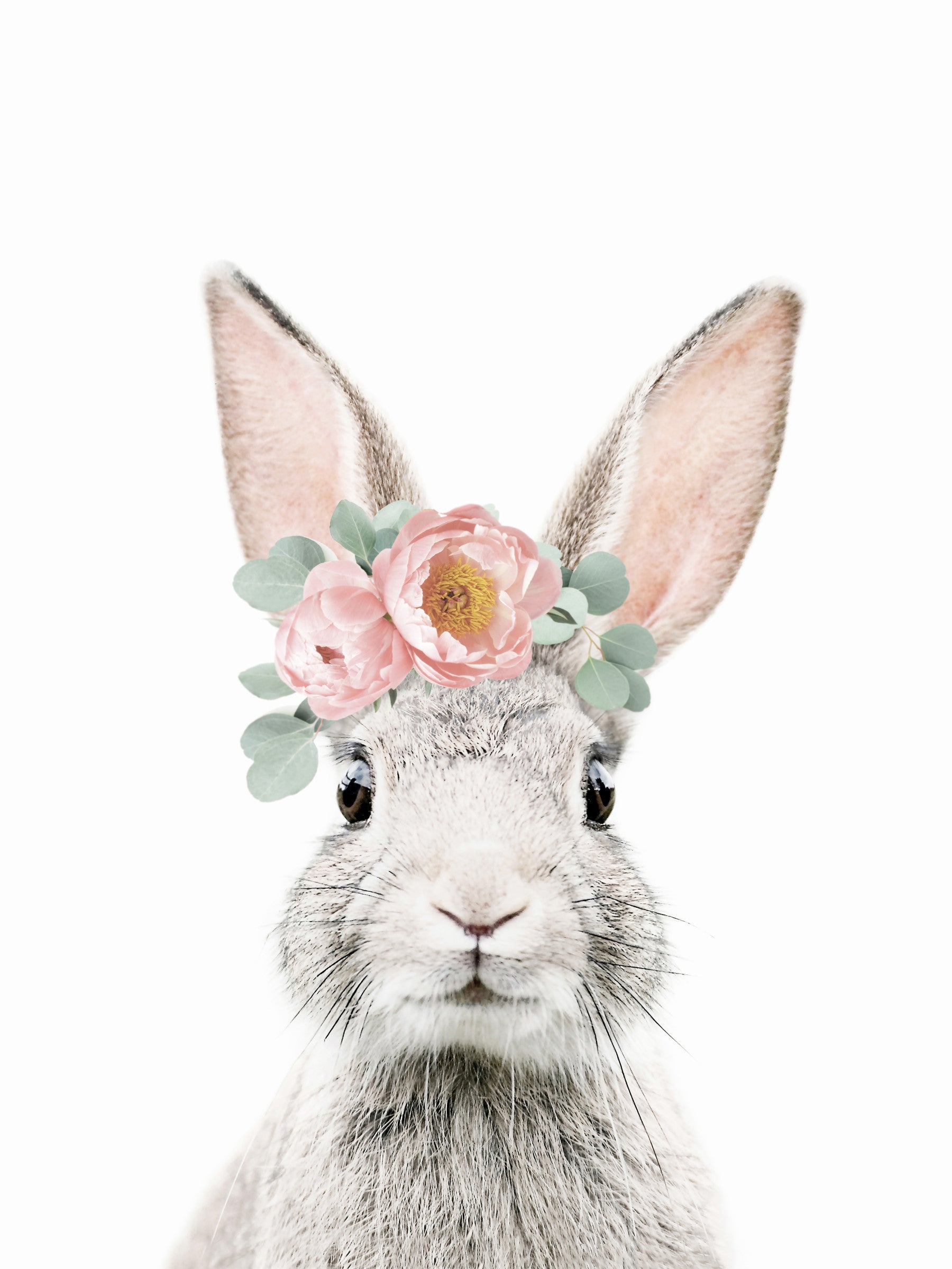 Floral Bunny Wall Mural