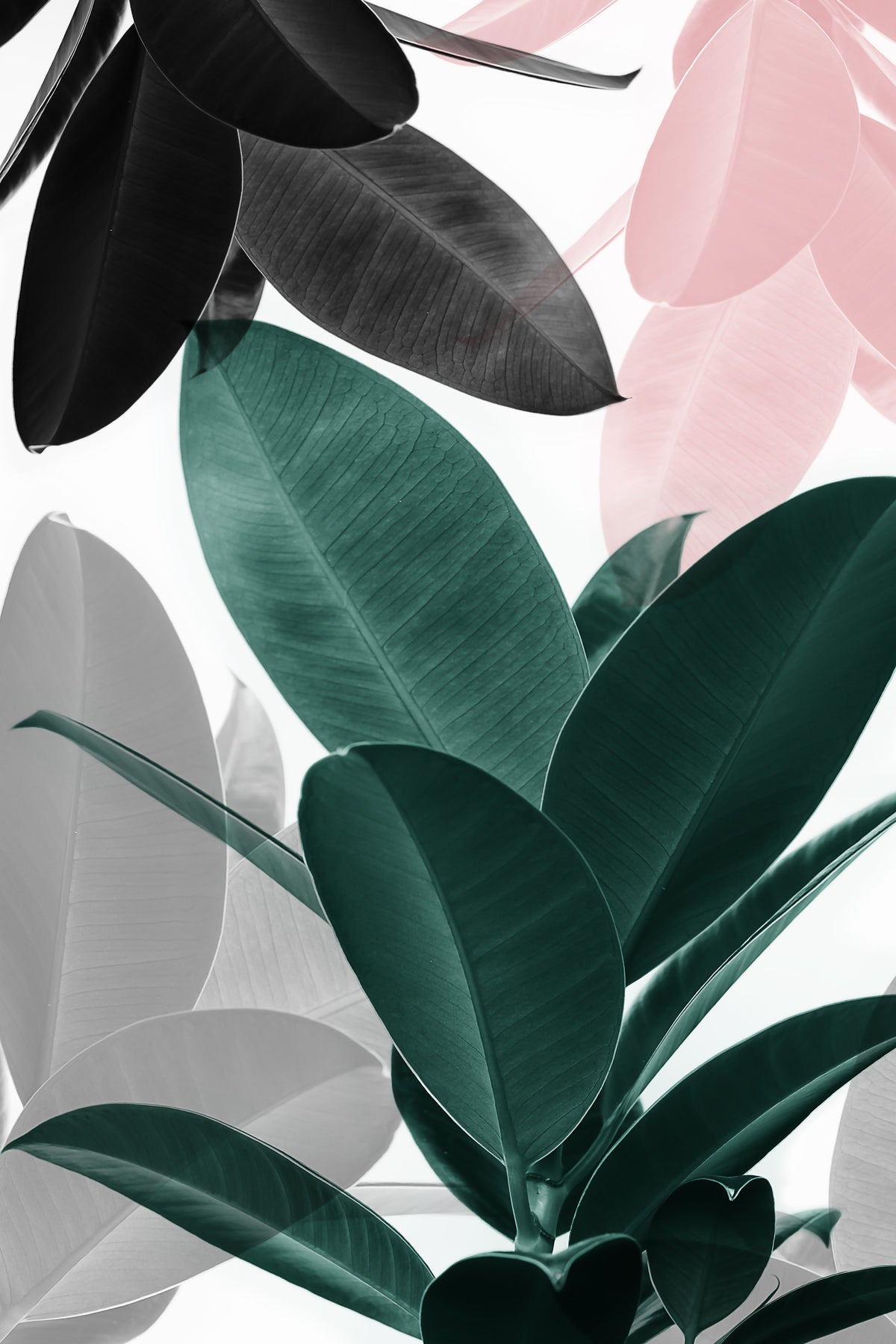 Leaf Play Wall Mural
