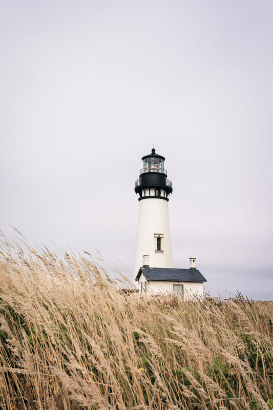Lighthouse Vista Wall Mural