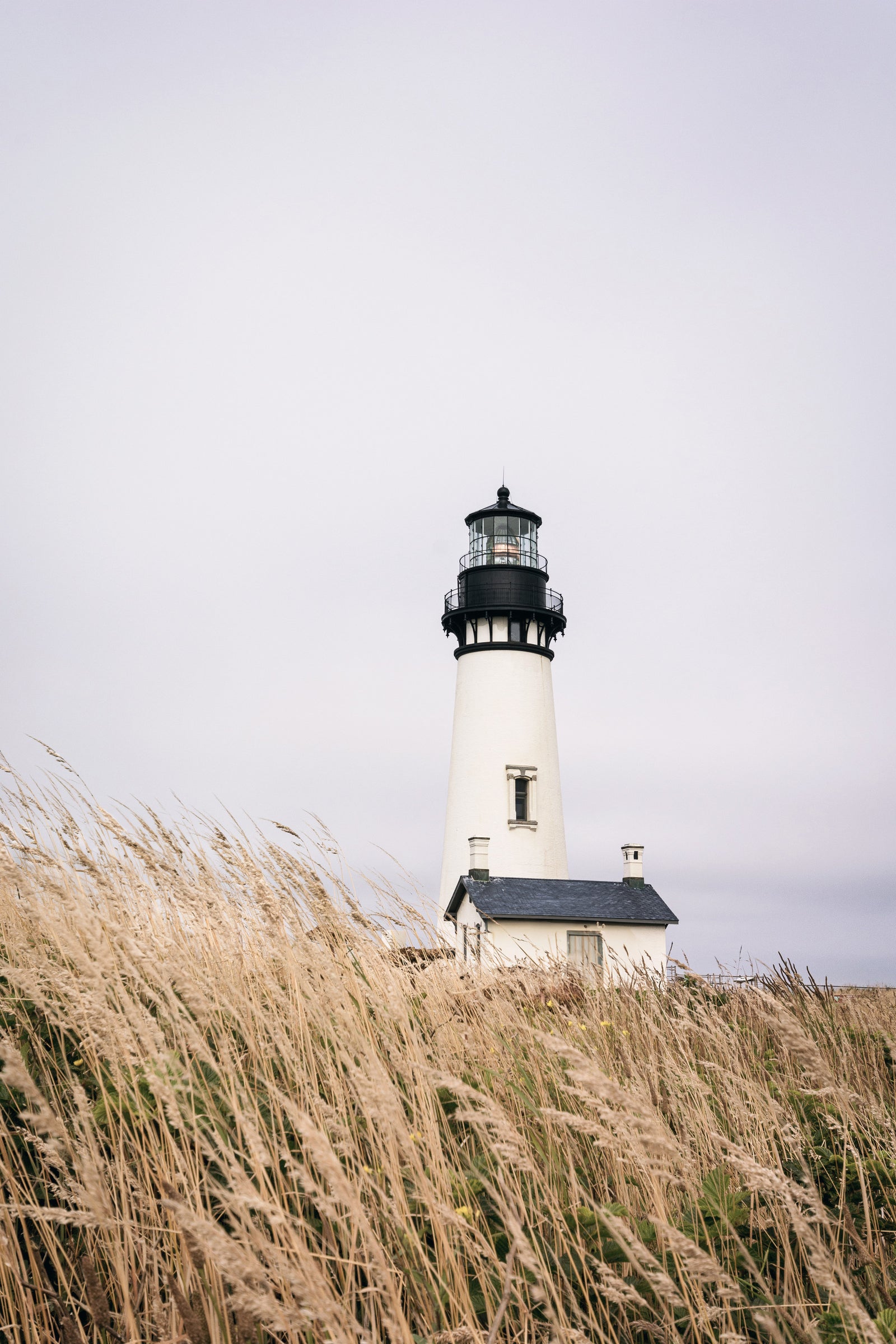 Lighthouse Vista Wall Mural