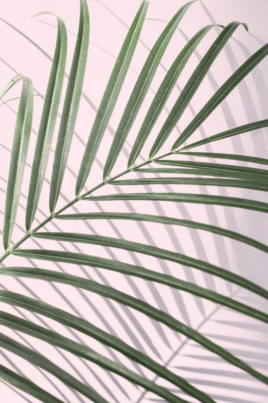 Leaf Whisper Wall Mural