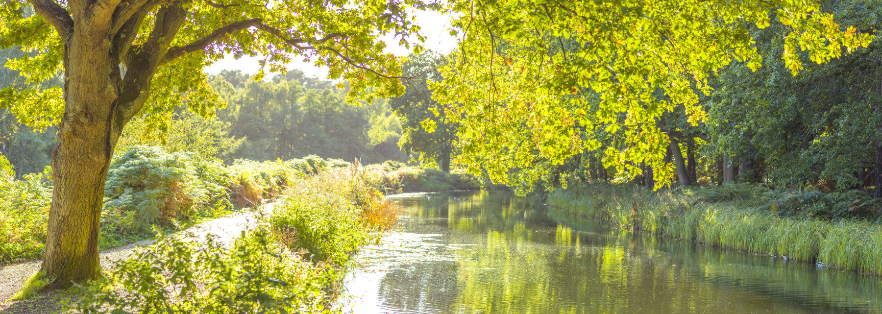 Canal Serenity Wall Mural