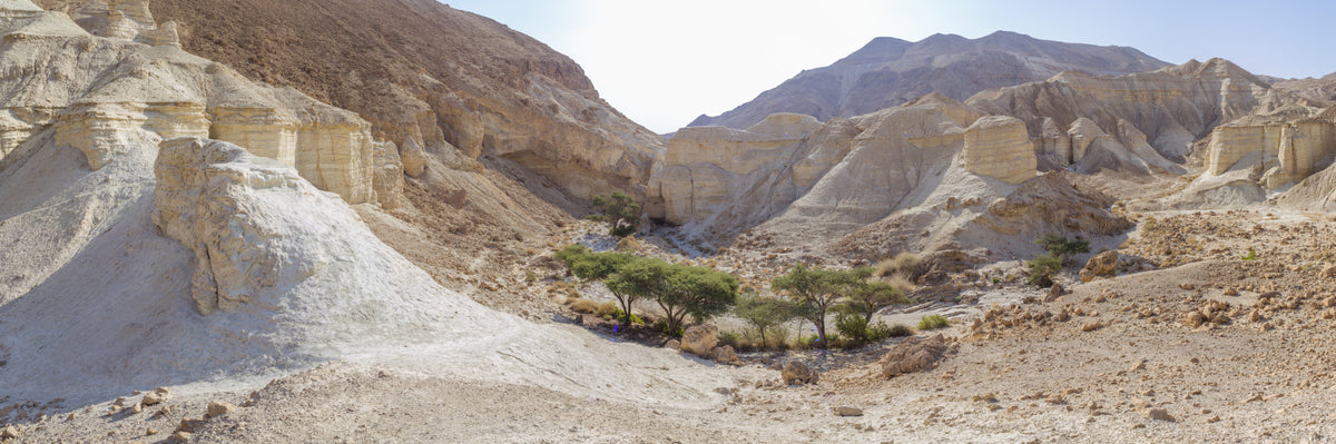 Negev Desert Wall Mural in your room — zoomed