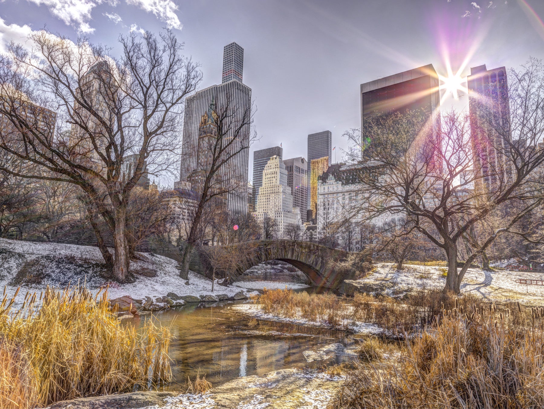 Central park NYC Wall Mural