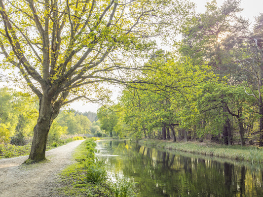 Canal on a Spring Day Wall Mural