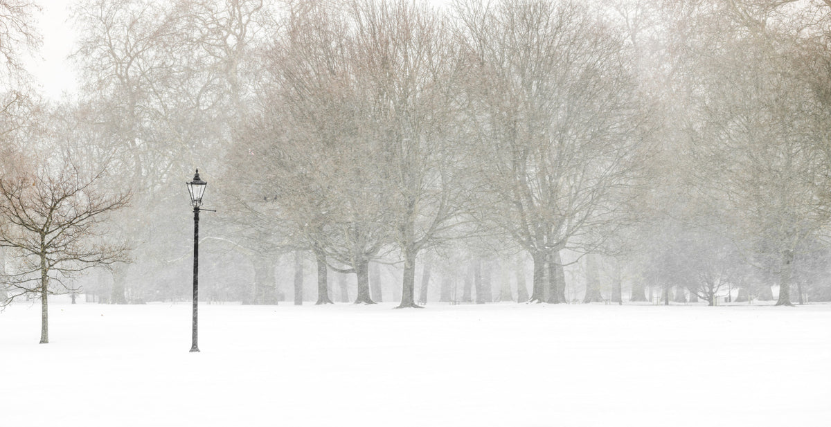 Hyde Park in Winter Wall Mural