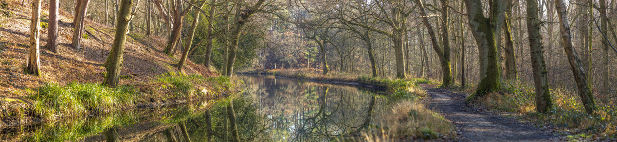 Woodland Mirror Wall Mural in your room — zoomed