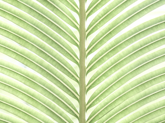 Verdant Leaf Stripes Wall Mural