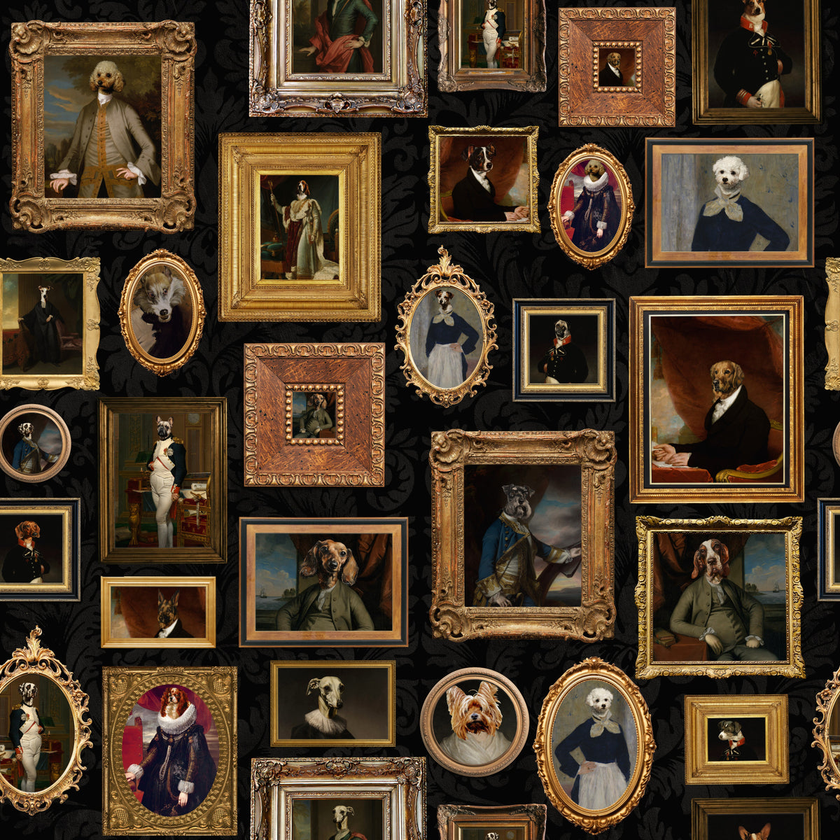 Aristodogs Gallery  Wallpaper⁠