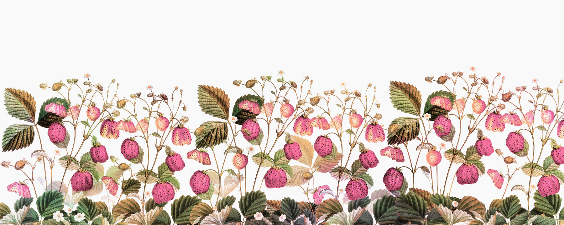 Strawberry Garden Wallpaper⁠
