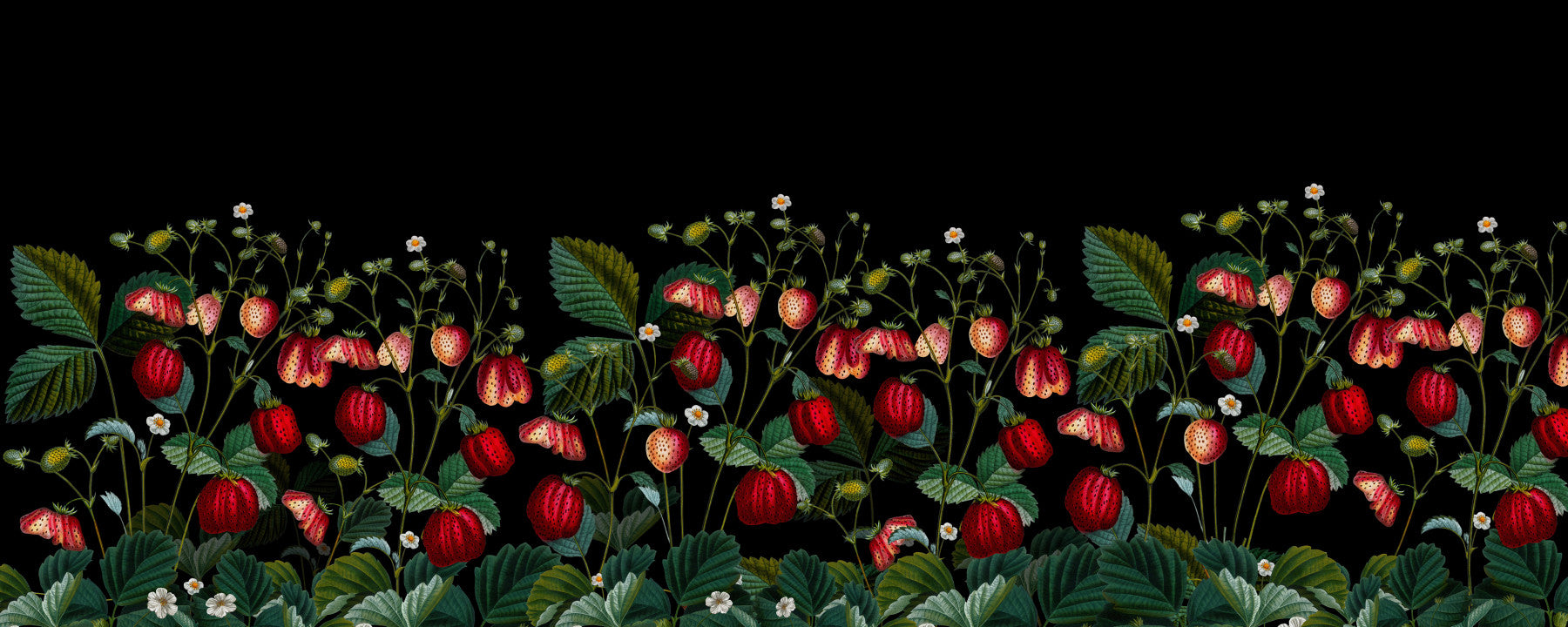 Botanical Berry Elegance Wallpaper⁠