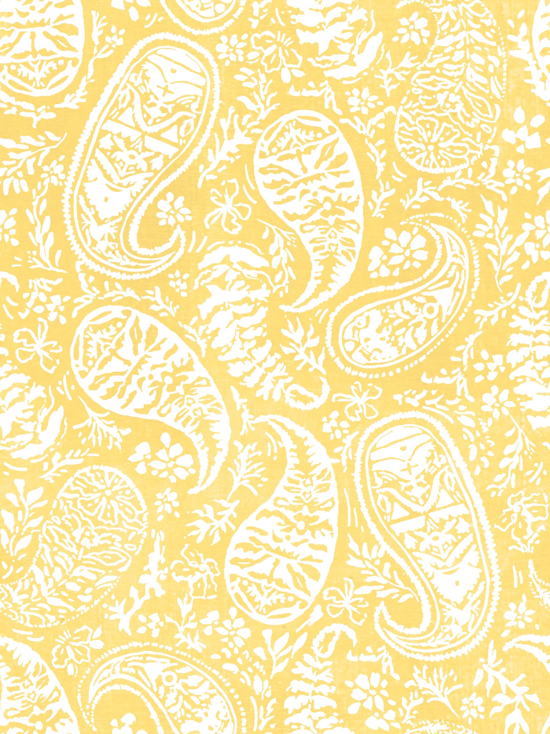 Sunshine Paisley Bloom Wallpaper⁠