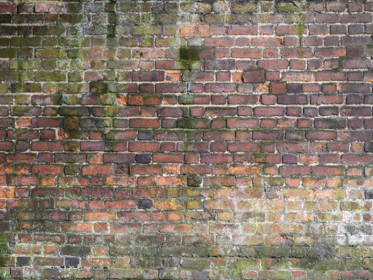 Weathered Wall Wall Mural