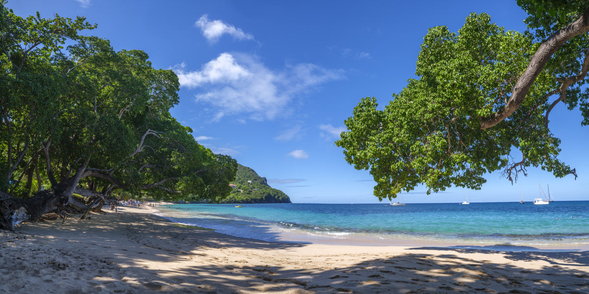 Coastal Paradise Vibes Wall Mural