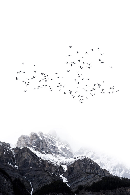 The Mountains Wall Mural