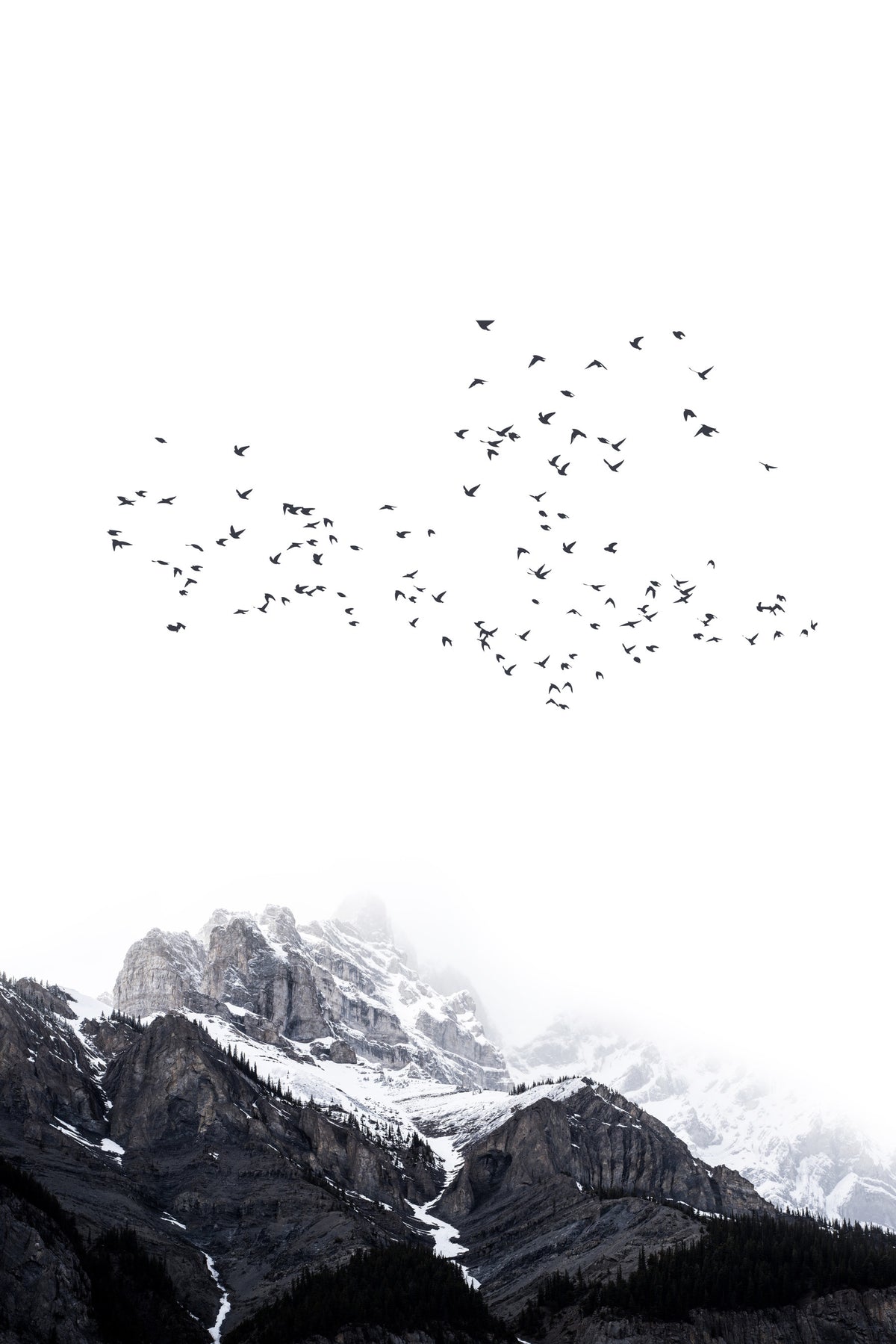 The Mountains Wall Mural in your room — zoomed