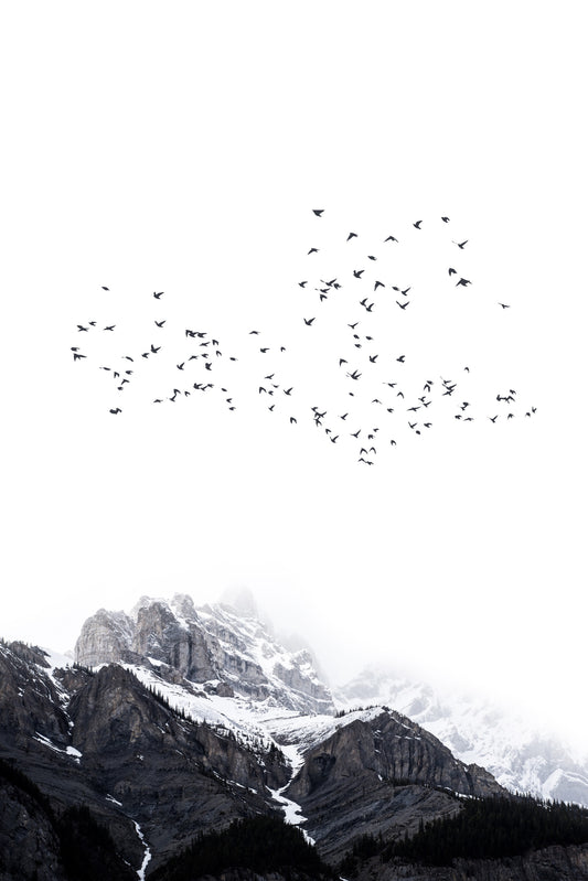 The Mountains Wall Mural